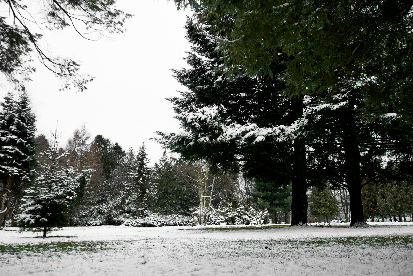 How to Prepare and Store Your Lawn Mower for Winter How to Prepare and Store Your Lawn Mower for Winter